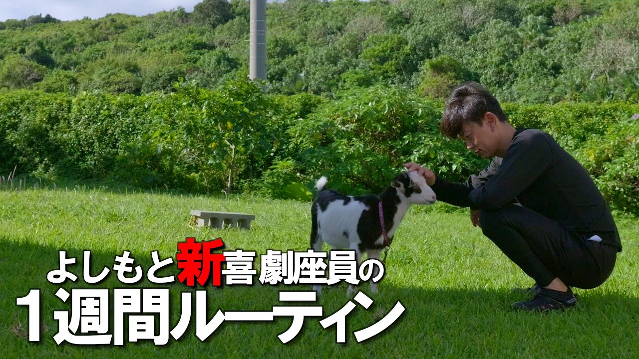 【よしもと新喜劇座員】リアルな1週間～西表島にも行った１週間～