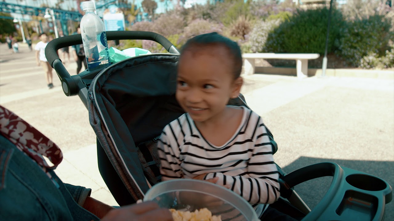 Seaworld 2019 Adventure