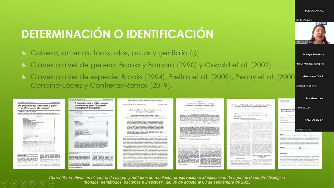 DIA 1 CPCB 2023 5 Taxonomía y biología de insectos y envio de muestras DraBRV DraMM DraMAS DrJMRV
