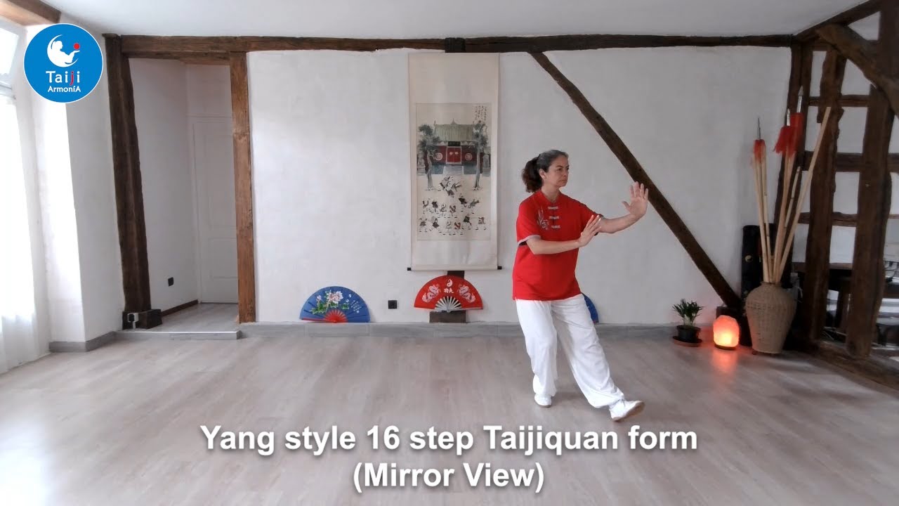 Yang style Tai Chi 16 form MIRROR VIEW by Patrizia with move names in EN, FR & ES
