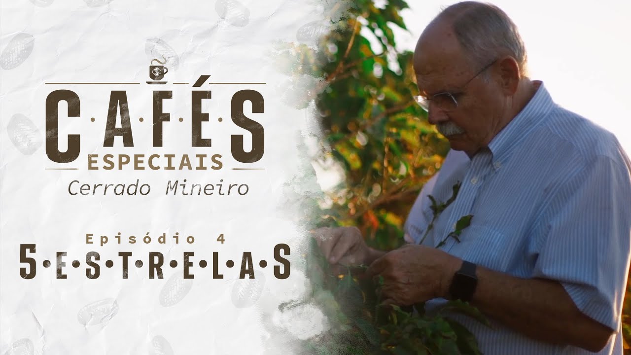 Cafés Especiais: O café orgânico de sucesso