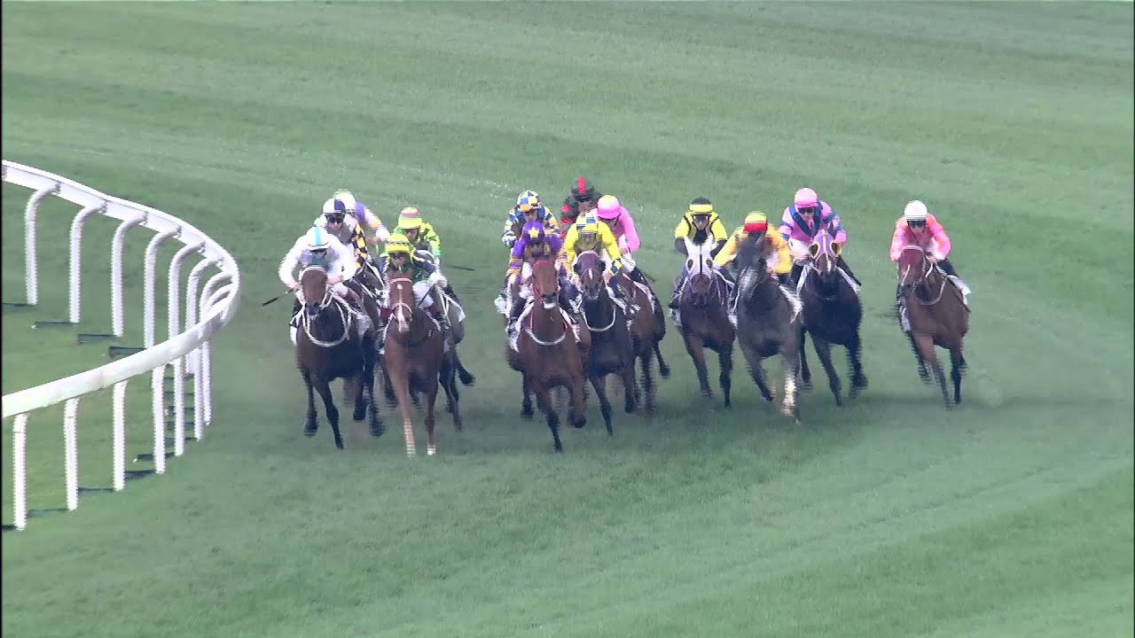 [2016 寶馬香港打吡大賽] 寶馬香港打吡大賽2016精彩時刻