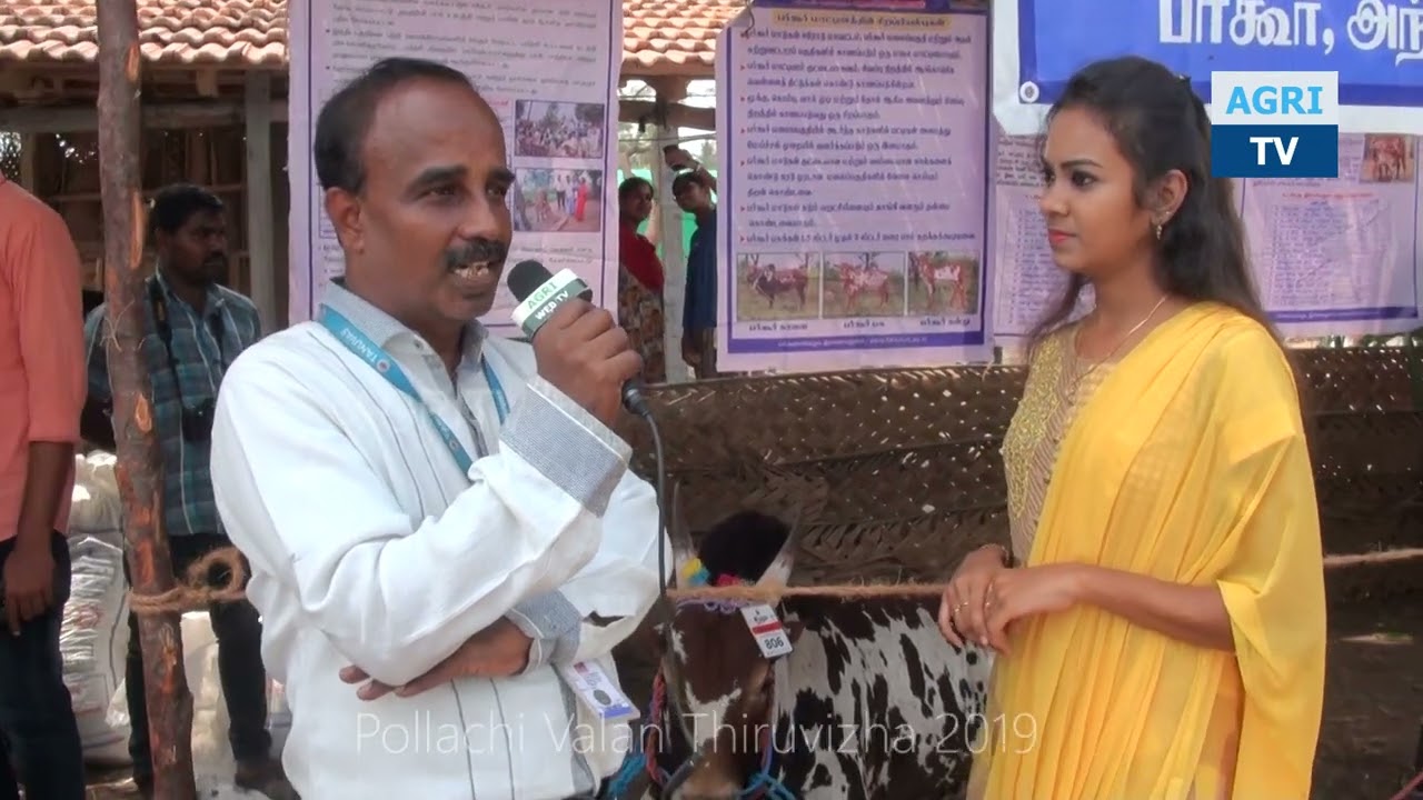 Bargur kalai