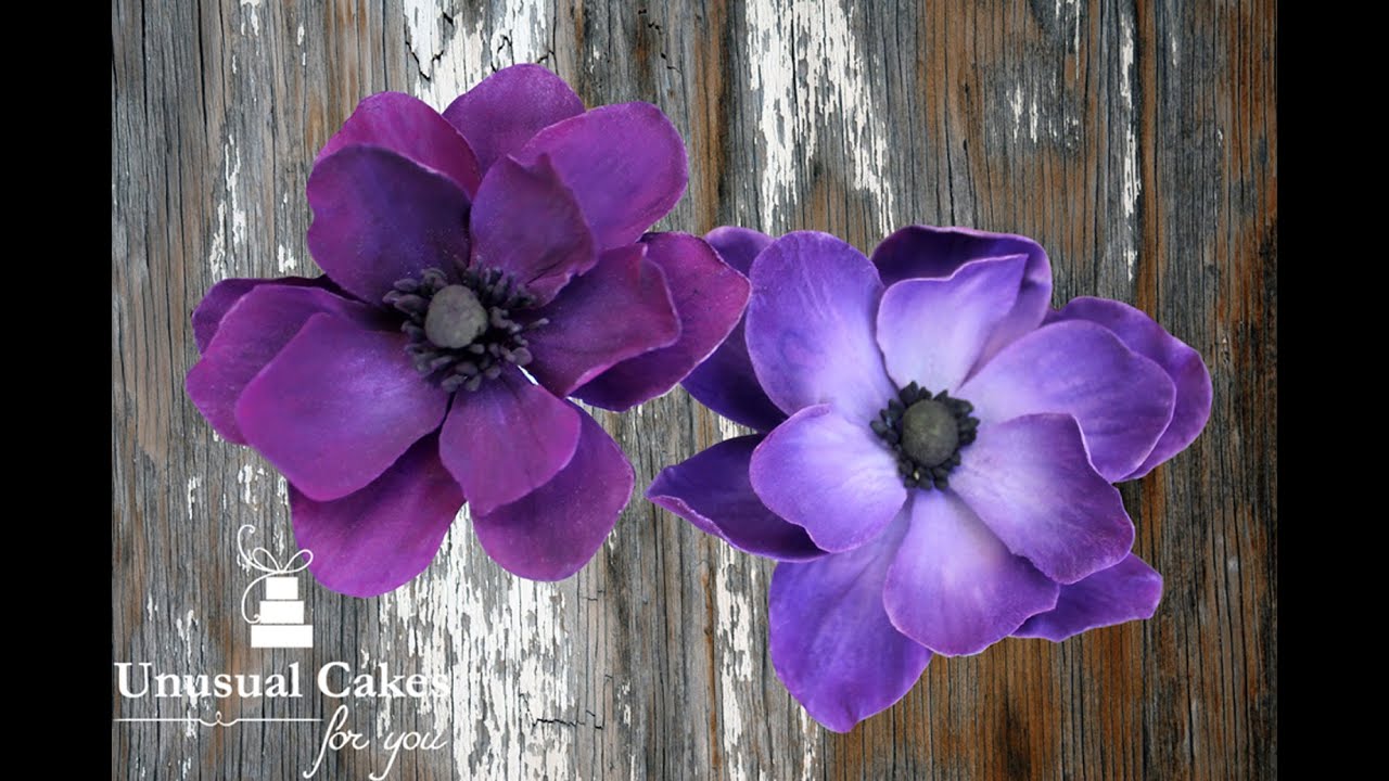 Anemone Sugar flower tutorial