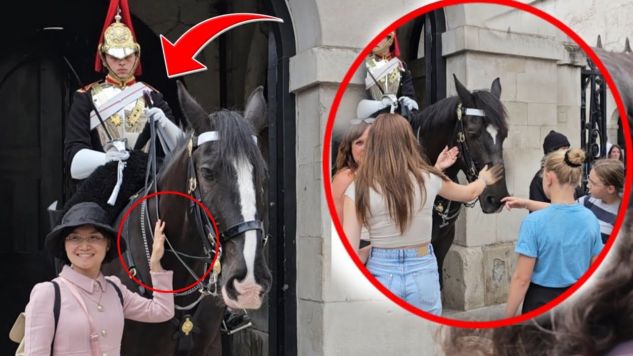 DONT TOUCH! King's Guard 