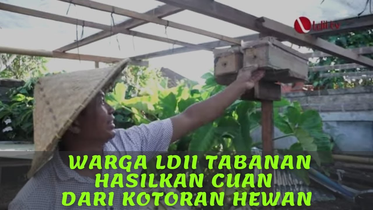 HASILKAN CUAN DARI KOTORAN HEWAN. KOK BISA?
