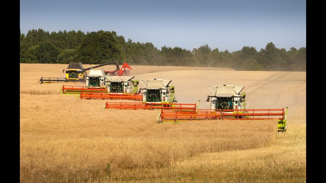 Ernte 2018 XXL / Quadtrac / Xerion / Fendt 1038 / Lexion 660 - 780