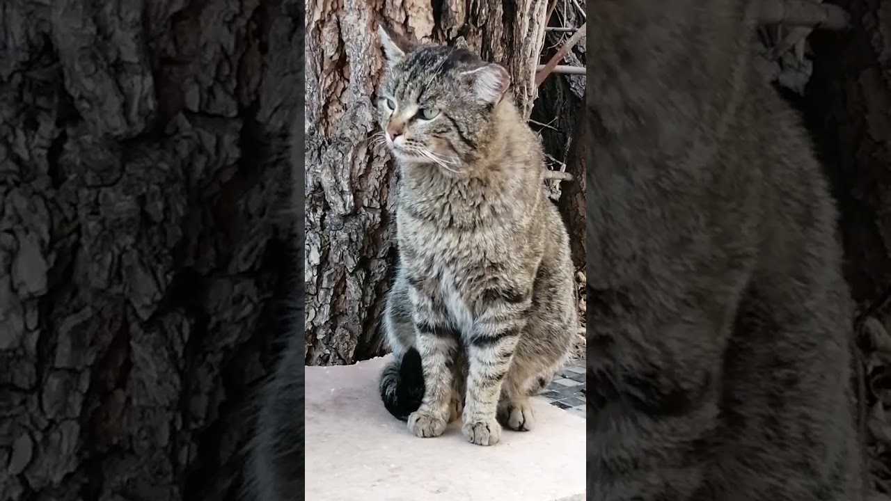 8 апреля 2026 г._Сбербанк 2202203654418625 Елена К. Kaspi +7 771 194 42 69 Глеб Т.