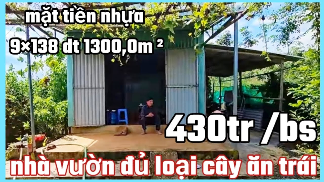 Nhà vườn cây ăn trái đủ loại mặt tiền nhựa lớn 9×138 dt 1300,0m² cln giá 430tr bao sổ 