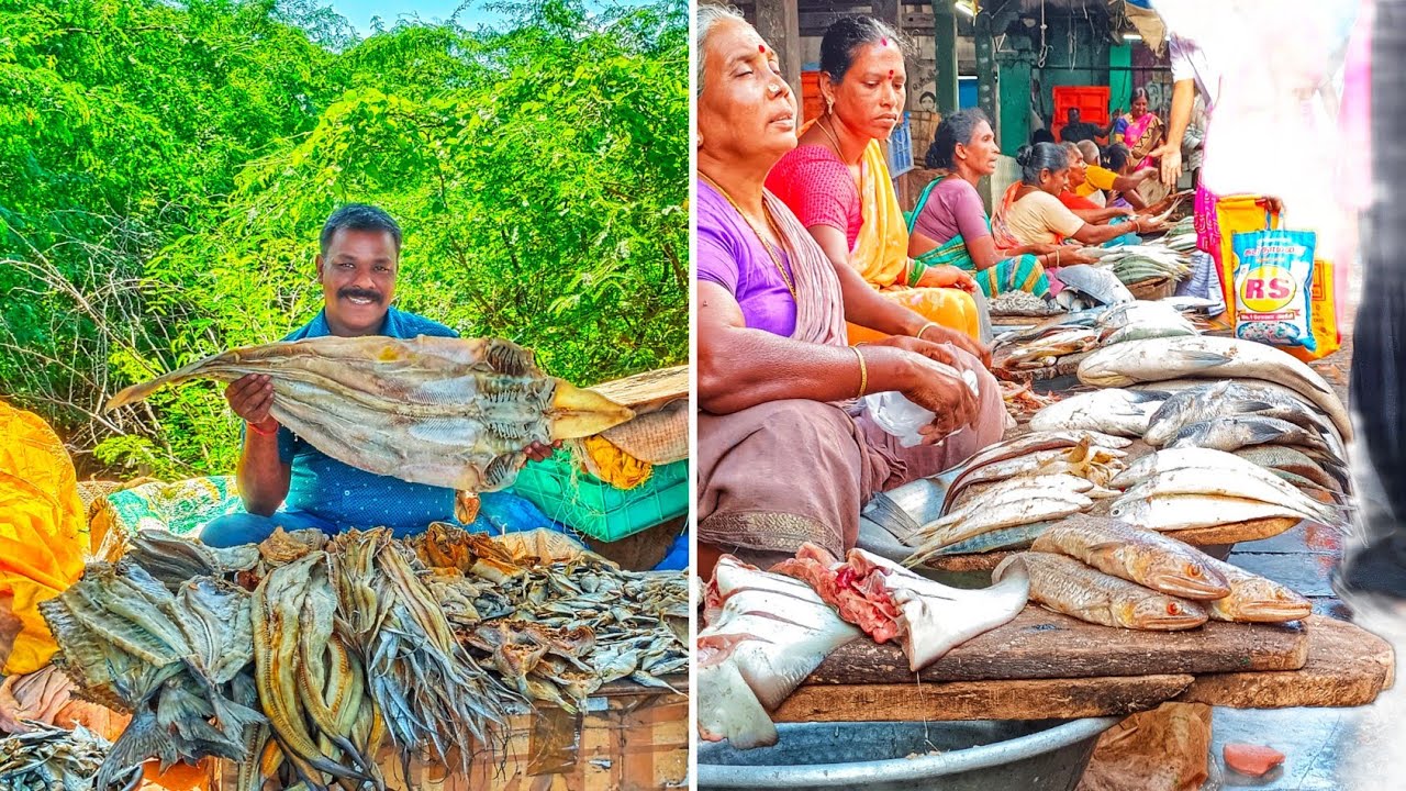 நாகூர் மீன் மார்க்கெட் வாஞ்சூர் கருவாடு மார்க்கெட்#fishing @nagoreashok