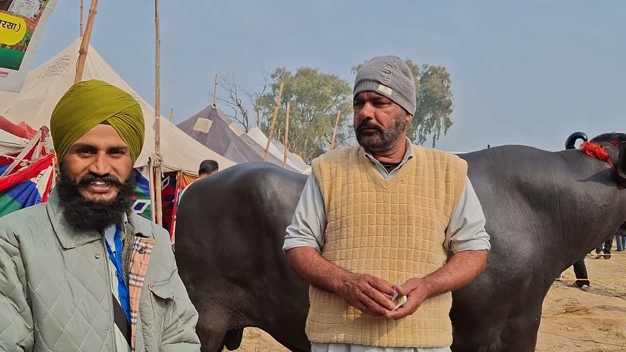 ਭਾਈ ਜਗਤਾਰ ਸਿੰਘ ਪਿੰਡ ਕੋਟਬਖਤੂ (ਬਠਿੰਡਾ)ਮੁਰਲਾ ਨਸਲ ਦਾ ਚੋਟਾ ਆ ਜੀ ।
