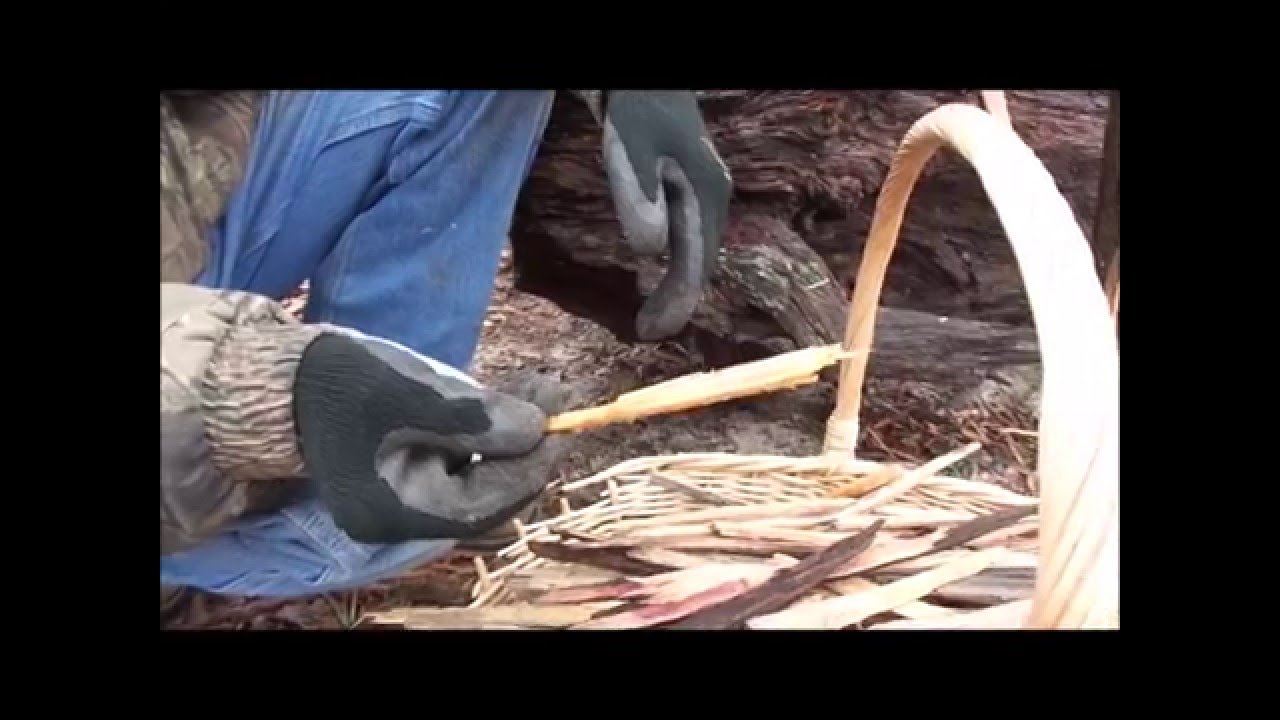 Southern fat pine