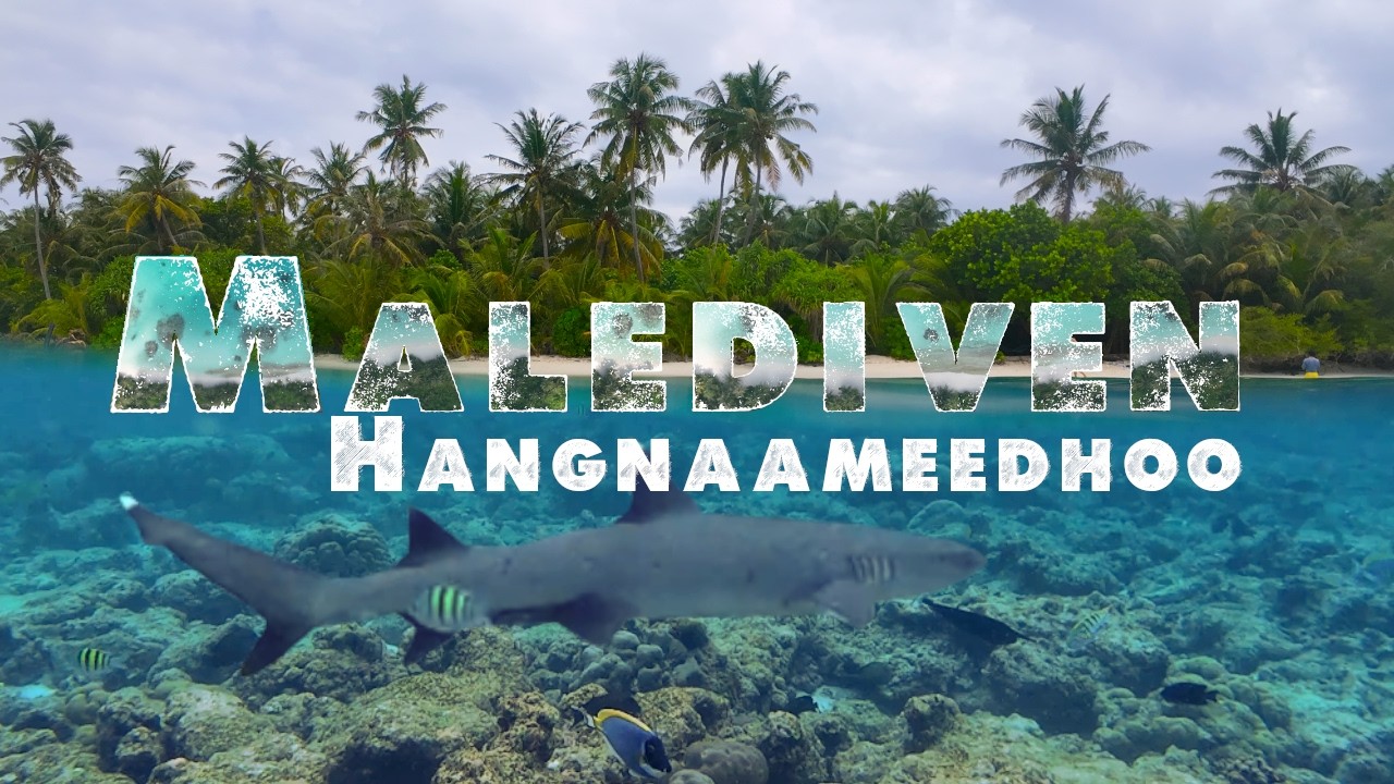Die perfekte Insel zum Schnorcheln auf den Malediven! | Süd Ari Atoll