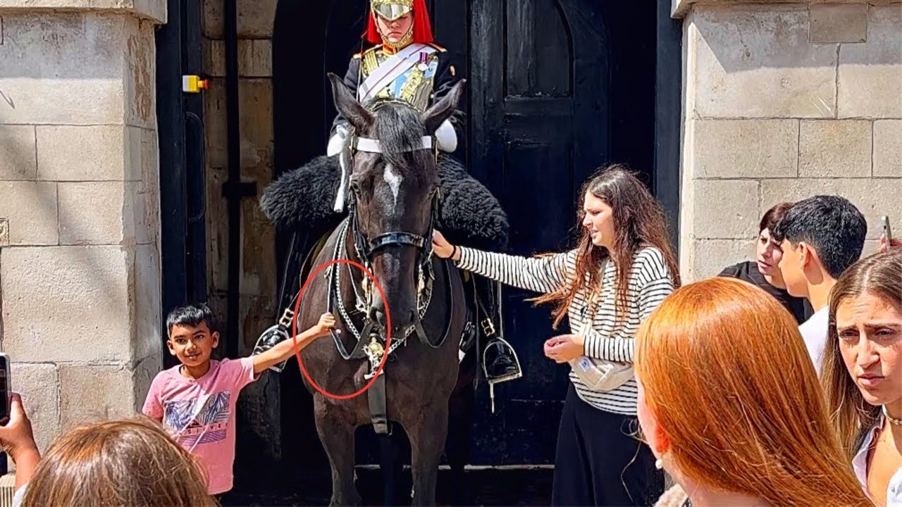 Little boy holds reins of royal king's horse guards - their reaction is priceless!