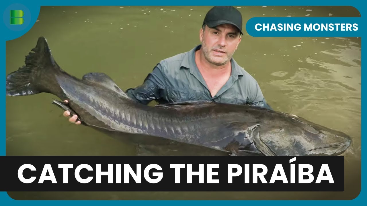 Fishing in the Amazon Rain Forest - Chasing Monsters - Nature & Adventure Documentary