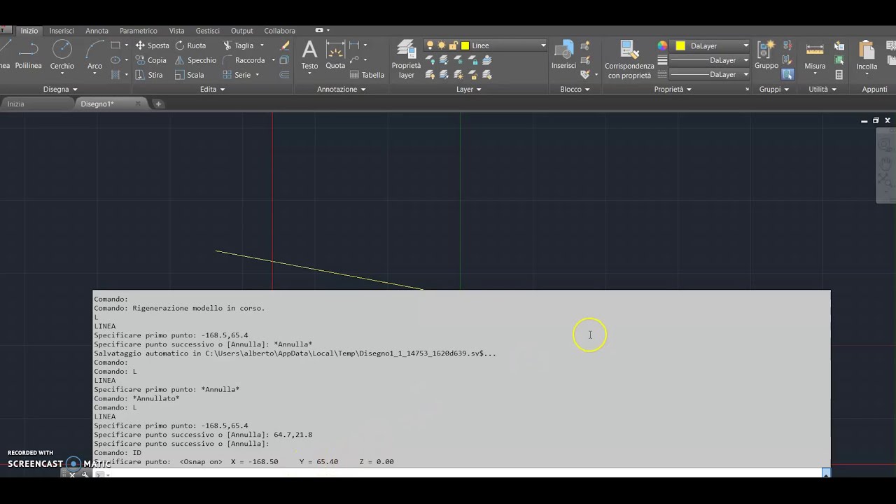 Coordinate cartesiane assolute e relative - topografia e autocad