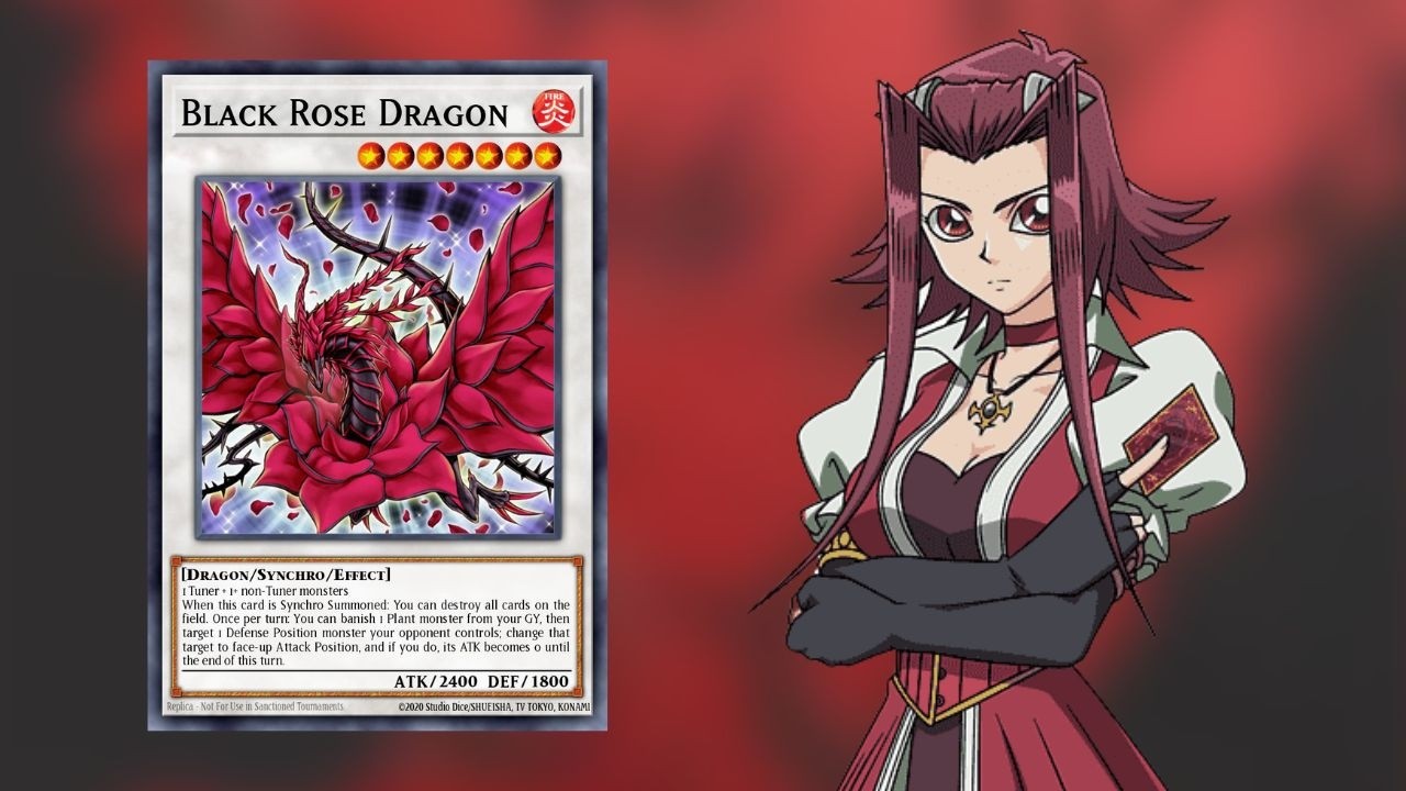 AKIZA ist BACK! Black Rose Dragon DECK PROFILE!