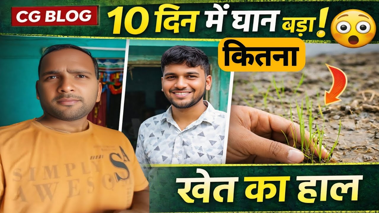 आज मैं और मेरा दोस्त हूं खेतों की तरफ घूमने गए 🤔 की 10 दिन में धन कितना बड़ा होता है सब जान 😱