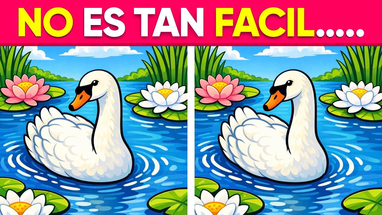 ¿Qué Tan RÁPIDA es tu MIRADA? 🦊🧀🐦‍⬛ MEJORA TU MEMORIA Y CONCENTRACIÓN 🧠 MENTAL QUIZ