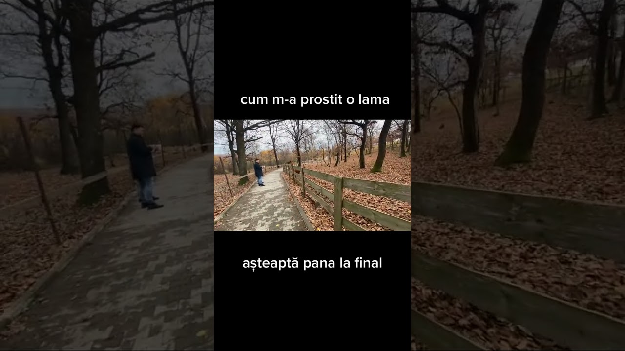 BIANCA COMANICI SI LAMA #shorts #smile #viral #trending #top #youtube