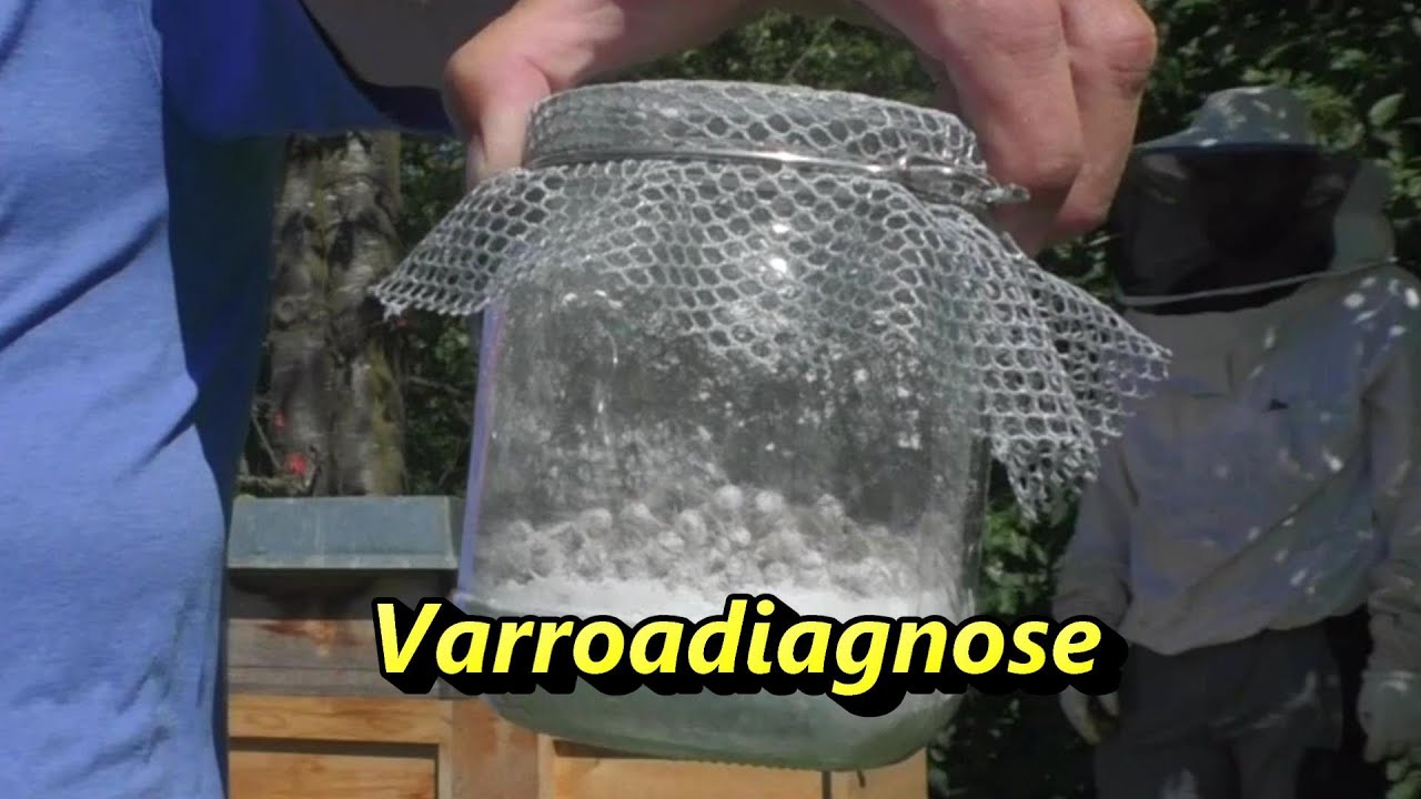 Varroadiagnose