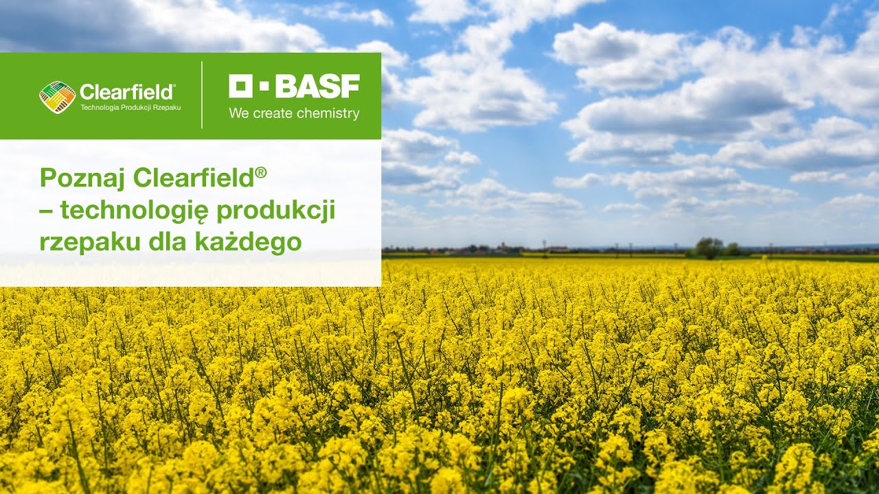 Poznaj Clearfield&reg; &ndash; technologię produkcji rzepaku ozimego