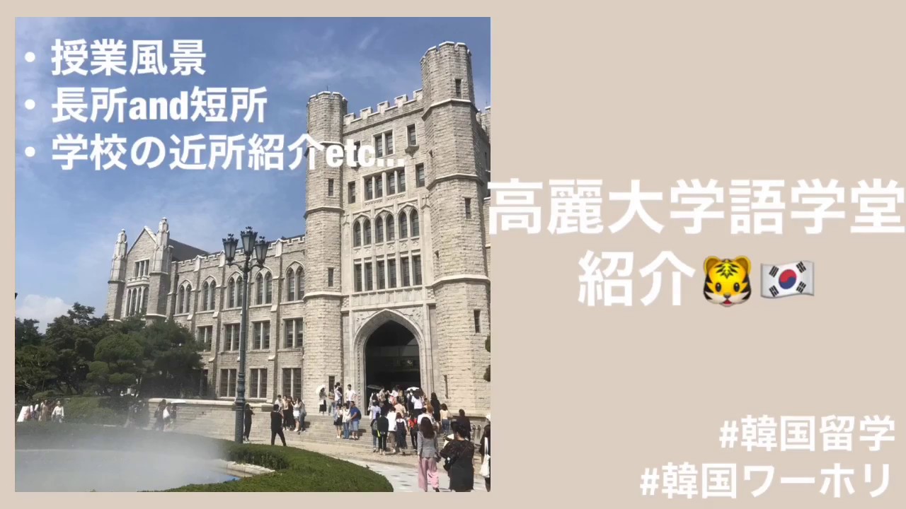 【韓国留学】高麗大学語学堂について！学校周辺も紹介☕️