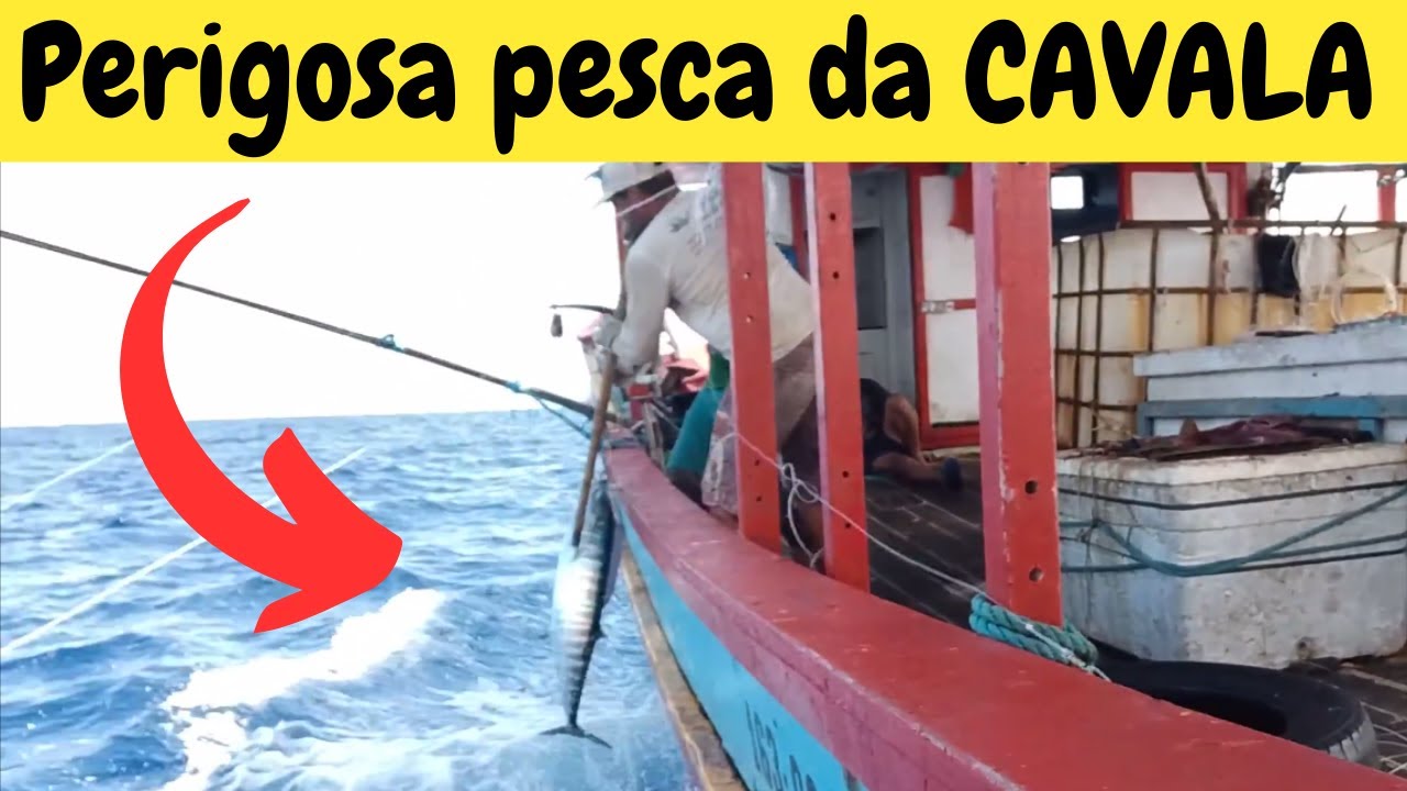 Você está PREPARADO para a grande pesca de CAVALA???