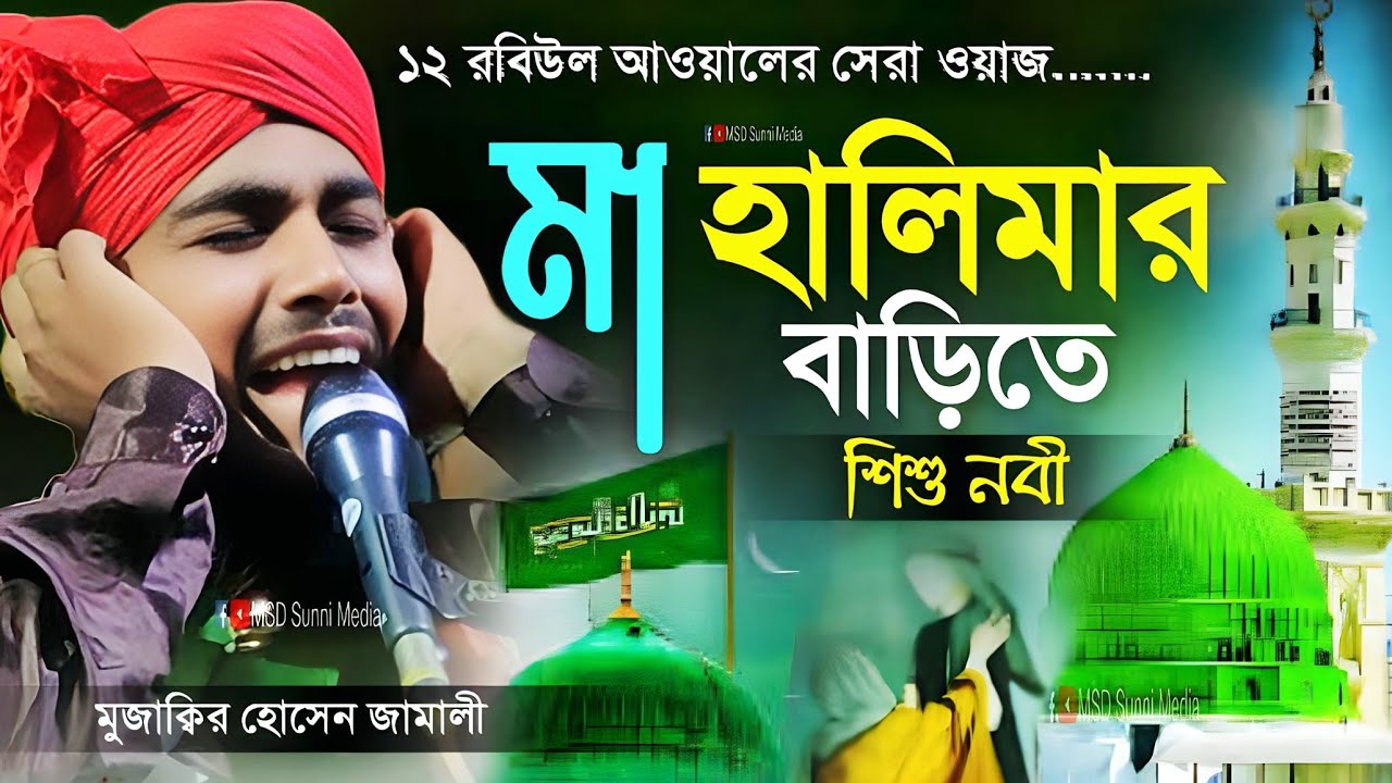 12 রবিউল আওয়ালের সেরা ওয়াজ ┇ মা হালিমার বাড়িতে শিশু নবী ┇ mujakkir hussain jamali waz