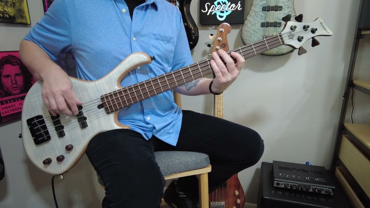 Mensinger Cazpar medium scale Bass cover 