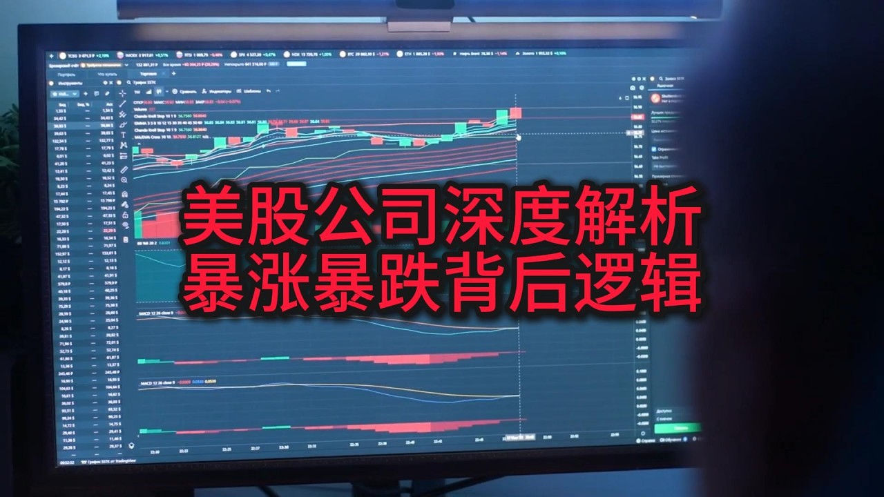 重点美股公司，暴涨暴跌背后逻辑（专属会员）