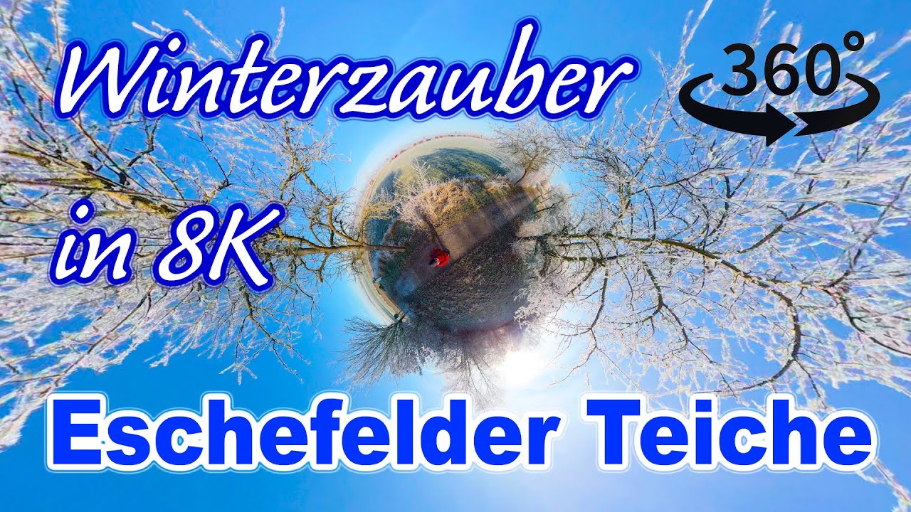 8K 360° Winterspaziergang Eschefelder Teiche – Mitten in der Natur