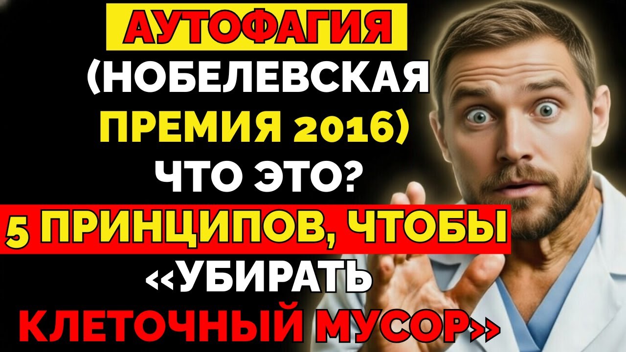 АУТОФАГИЯ НОБЕЛЕВСКАЯ ПРЕМИЯ 2016 — ЧТО ЭТО 5 ПРИНЦИПОВ, ЧТОБЫ «УБИРАТЬ