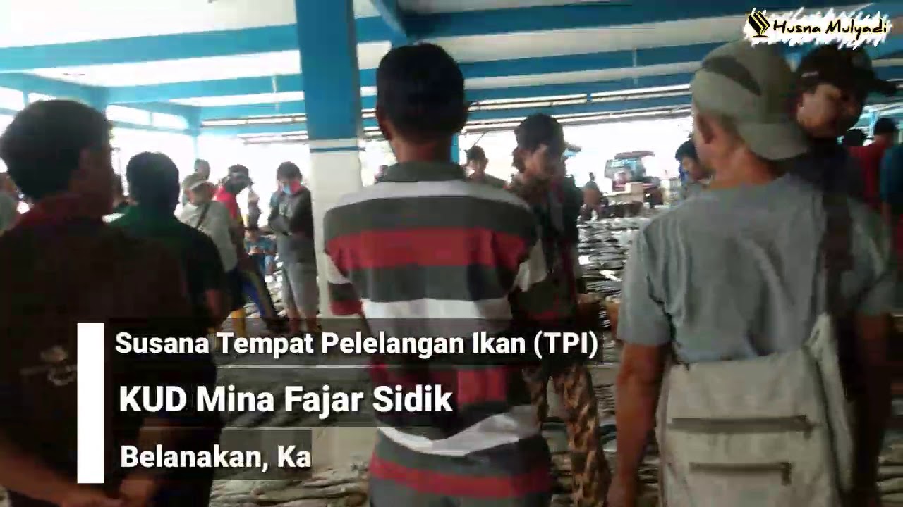 Mudah Banget.., Cara Beli Ikan di Pelelangan Ikan Blanakan - Subang