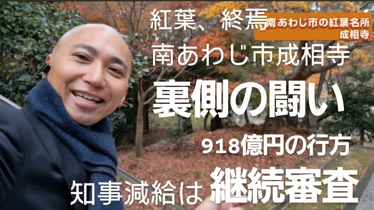 【紅葉は終わり...】南あわじ市の成相寺からご報告🍁 918.8億円の緊急補正予算審査に挑む！【はばタンPay+ 第5弾】​