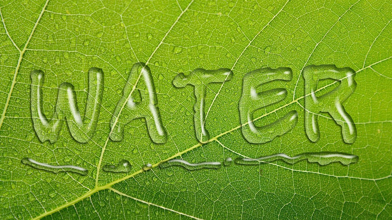 Water Text Effects | Photoshop Text Effects Tutorials | Graphic Design Tutorial