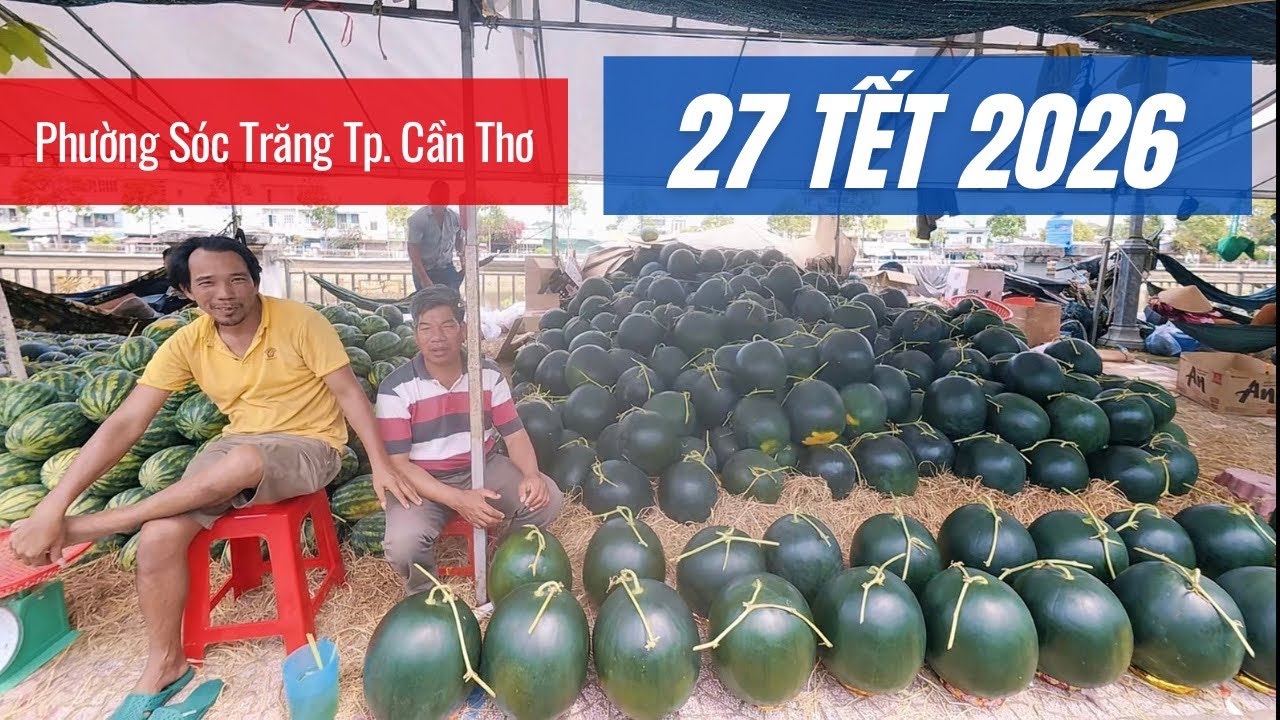 Dưa hấu siêu to - Mai siêu khủng - 27 Tết ở Phường Sóc Trăng Tp. Cần Thơ
