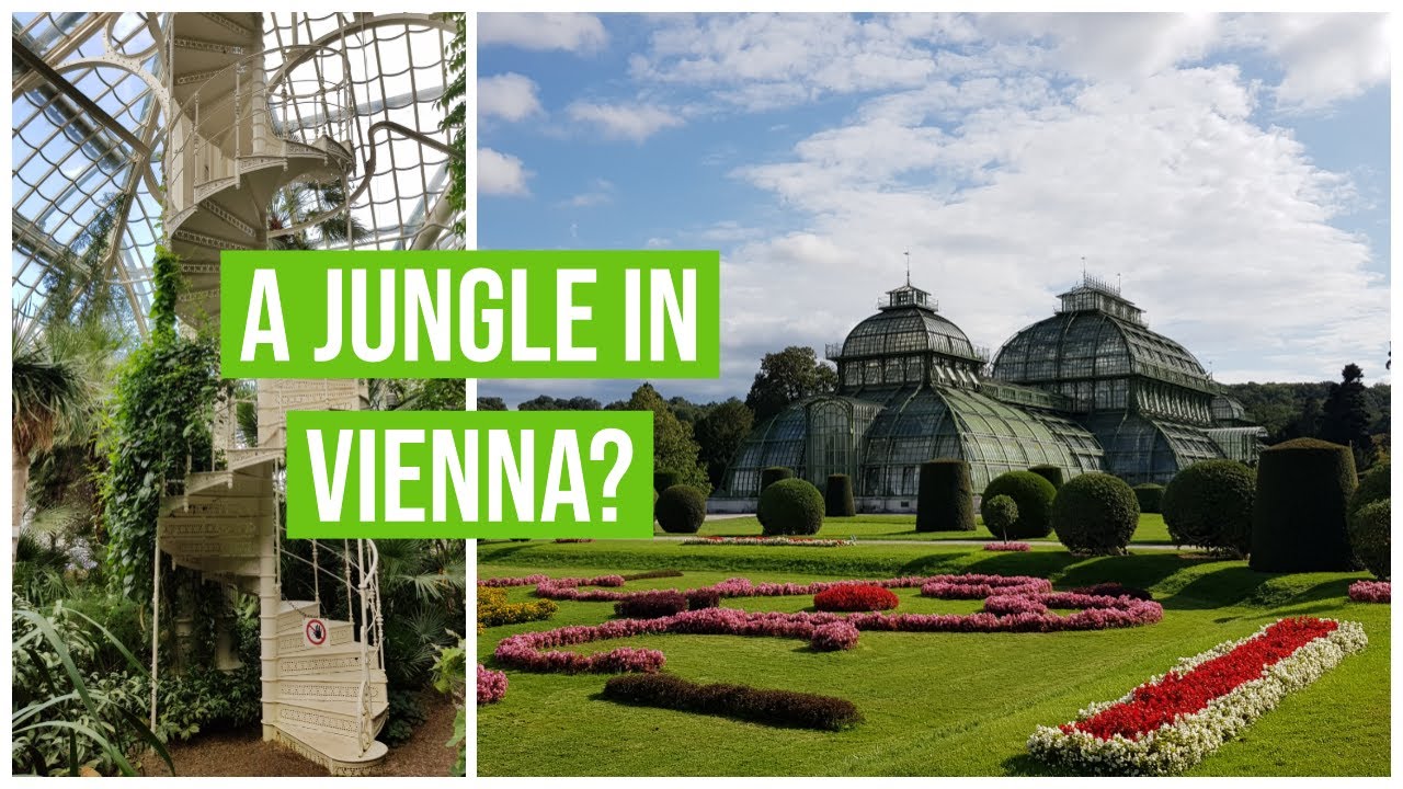 A Jungle in Vienna? | Palmenhaus Schönbrunn | Travel Diary Vienna