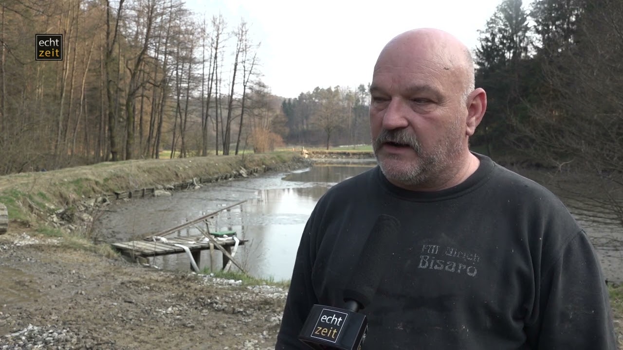 Abfischen am Trifthanslteich