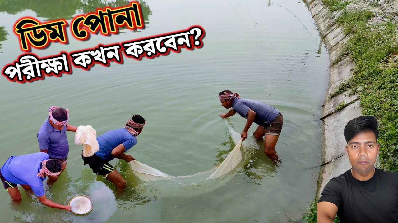পুকুরে রেনু বা ডিম পোনা ছাড়ার পর কখন পরীক্ষা করবেন?/কি করে বুঝবেন মাছের ভালো production হবে?
