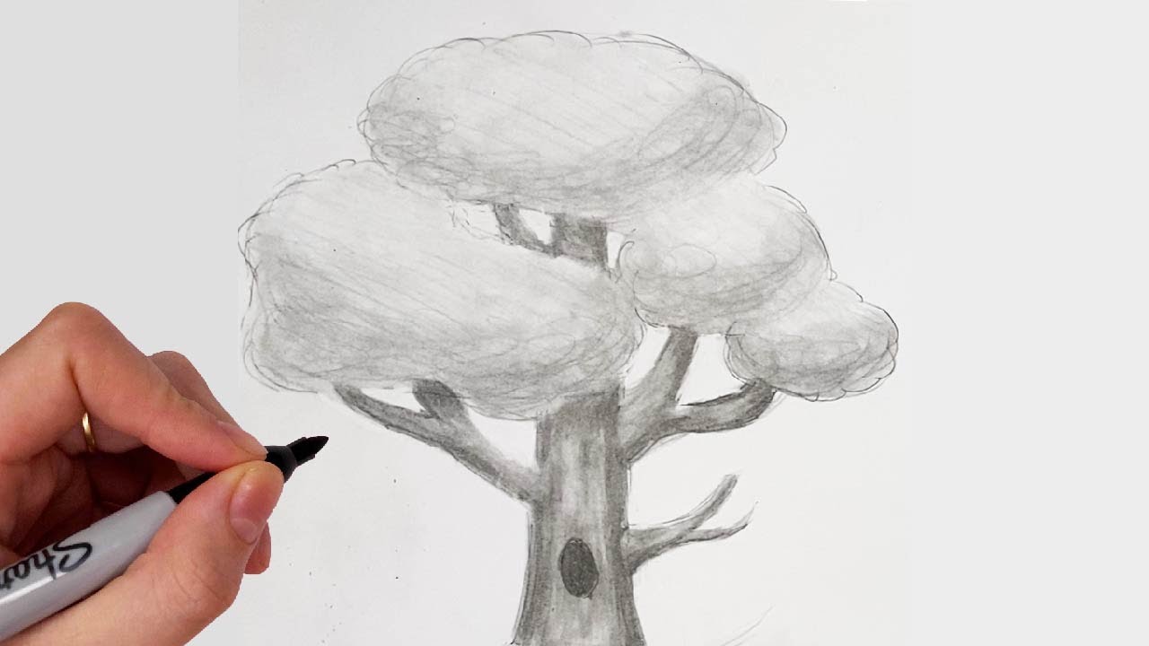 Comment Dessiner Un ARBRE AU CRAYON REALISTE [Noir et Blanc]