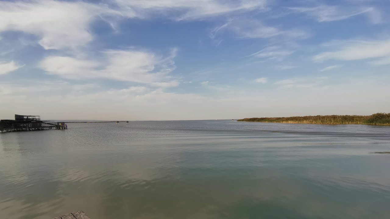 2020 Limes Navis & Chovid 19 = Segeln Neusiedlersee