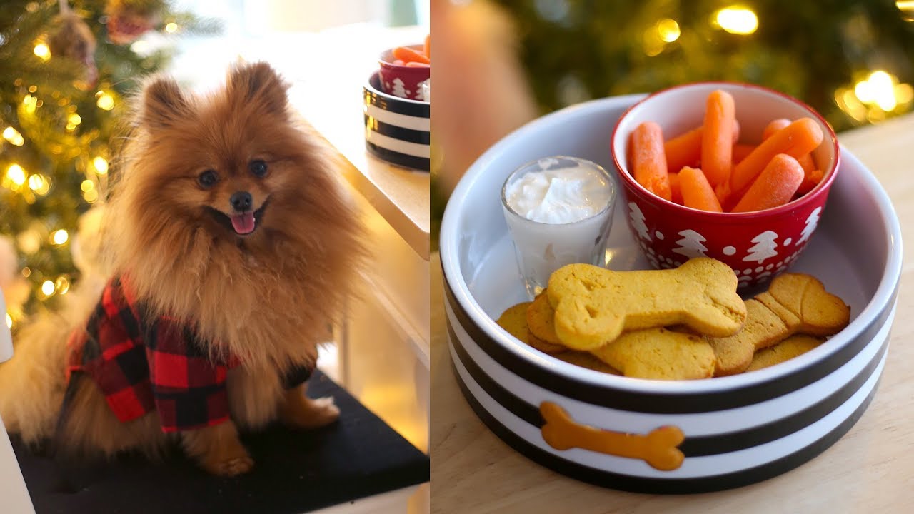 How to Make Milk and Cookies for Dogs | Christmas Dog Treats | RECIPE | PADDINGTON'S PANTRY