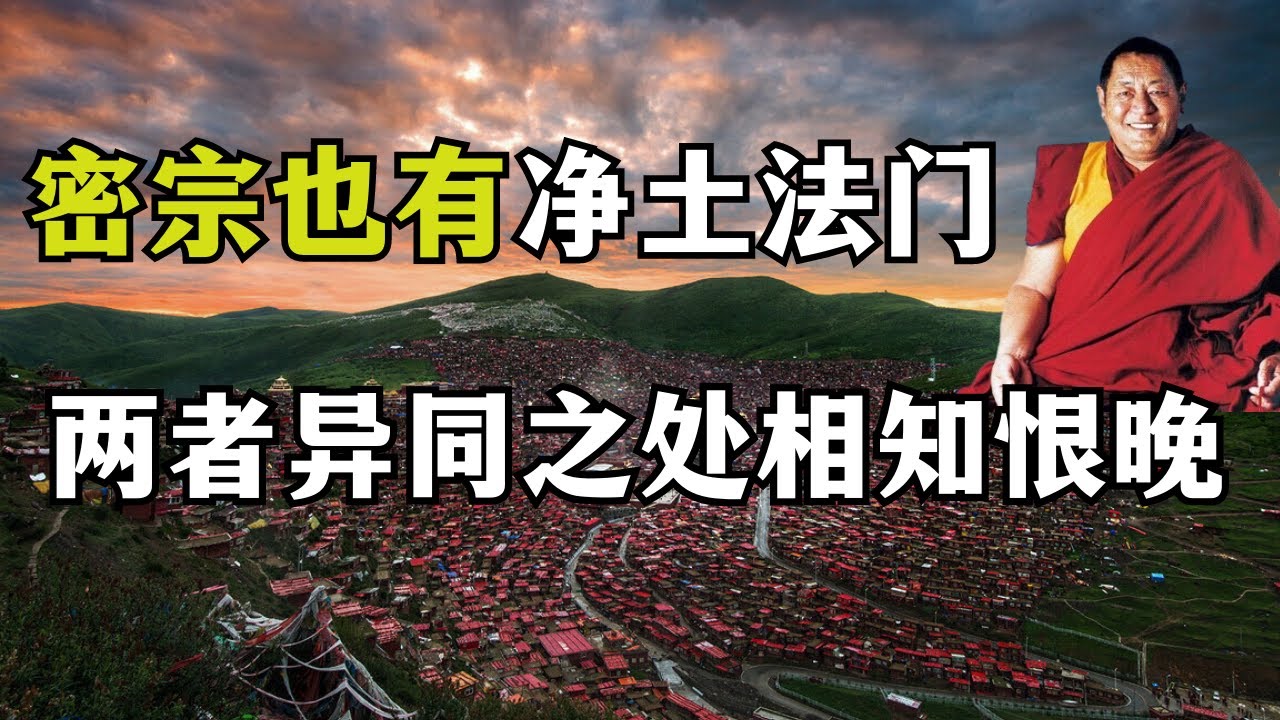 藏传佛教也有净土法门，显密净土法门到底有何异同？真应该早点知道！ 【显密法缘】 【显密法缘】