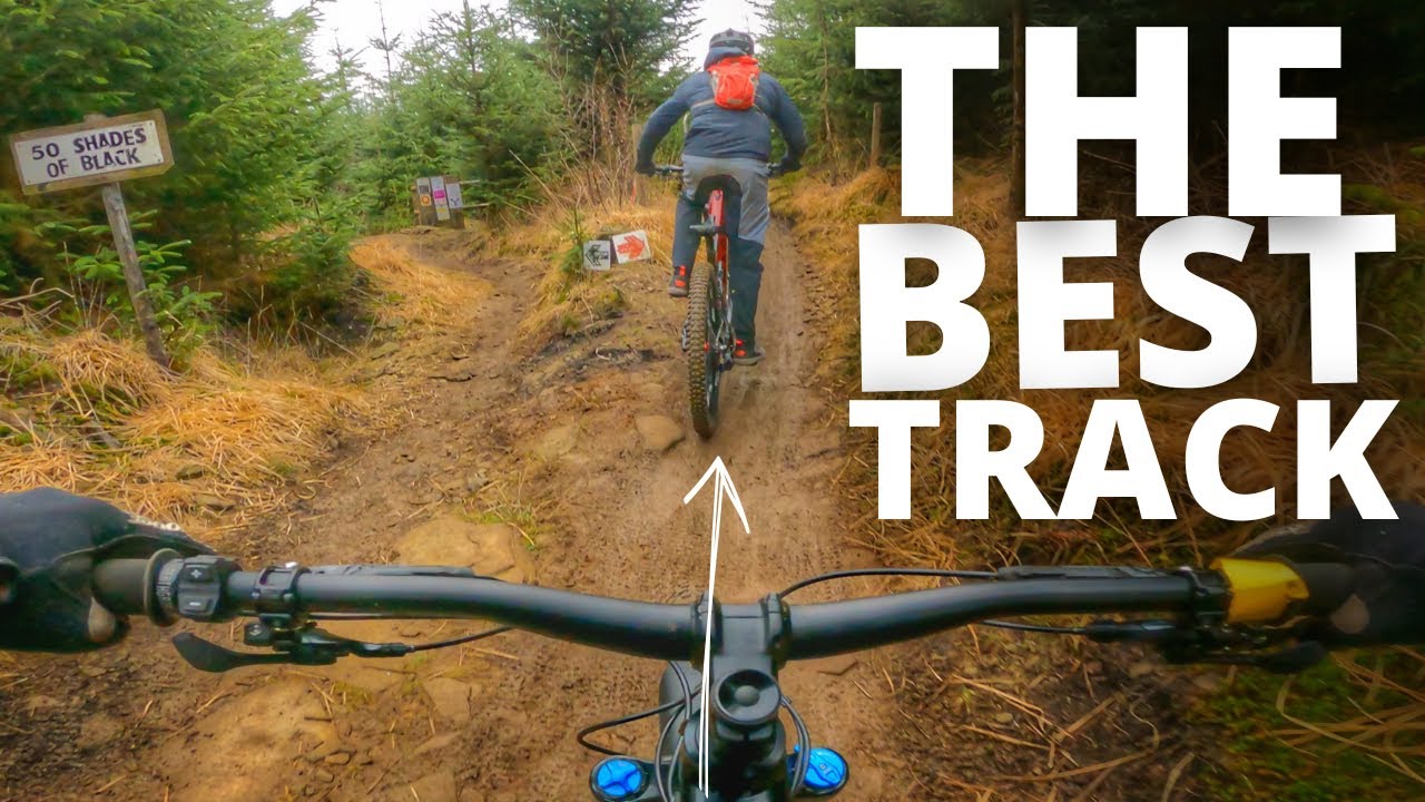 THE TWO BEST TRAILS AT BIKEPARK WALES!