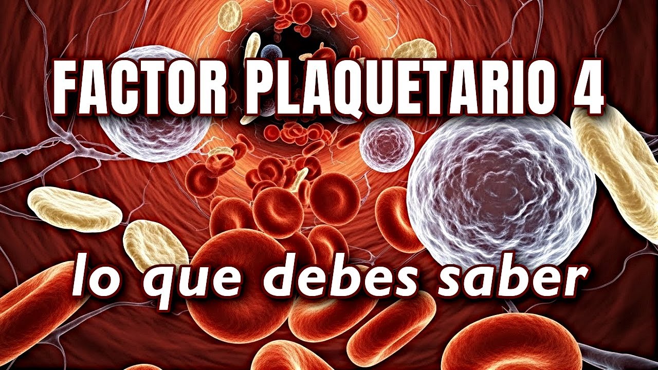 Factor Plaquetario 4: lo que debes saber