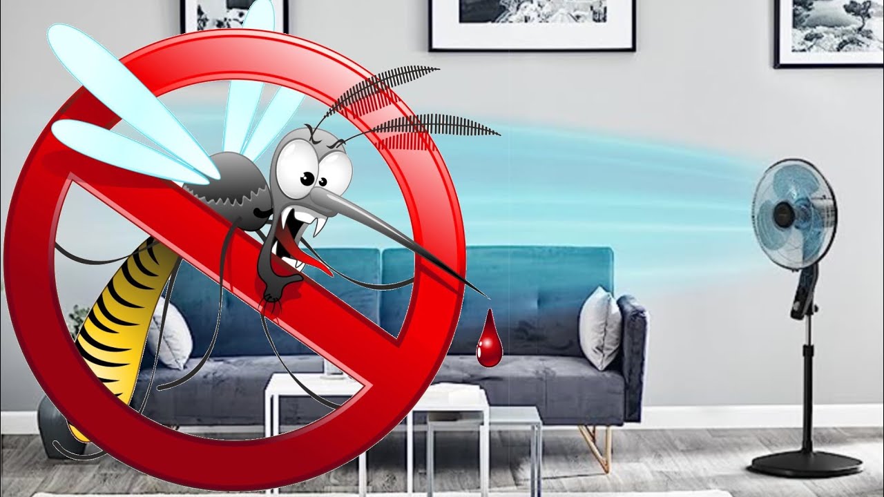 Rowenta Ventilatore Antizanzare: Unboxing e Prova - Da Non Perdere