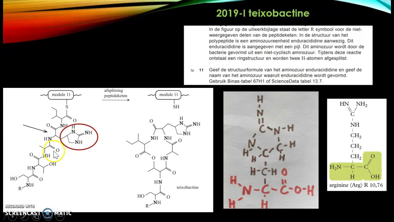 Teixobactine vwo scheikunde examen 2019-I 9 t/m 13