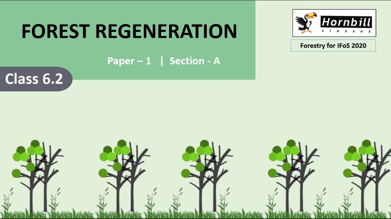 9. IFoS 2020  |  Silviculture - Forest Regeneration