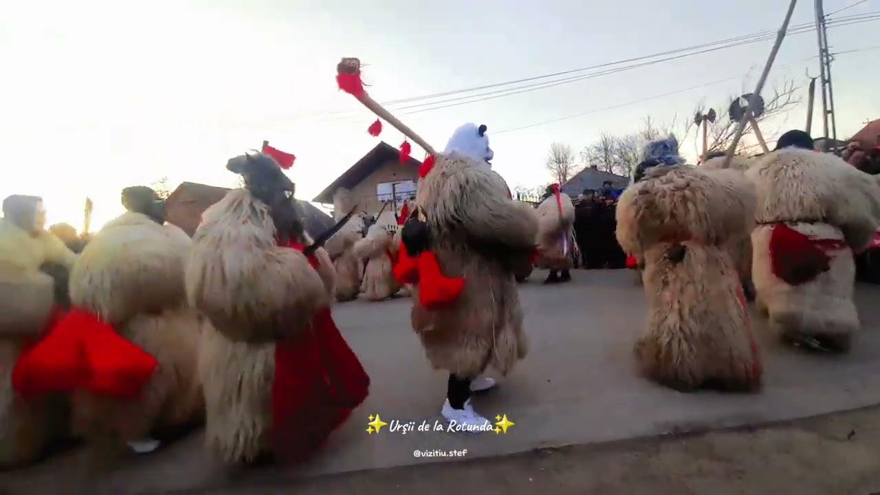 Urşii din Rotunda✨️❤️